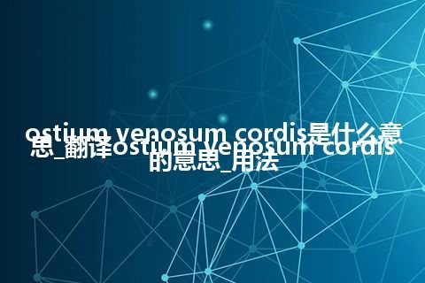 ostium venosum cordis是什么意思_翻译ostium venosum cordis的意思_用法