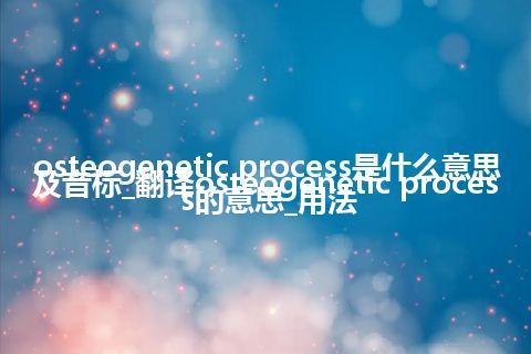 osteogenetic process是什么意思及音标_翻译osteogenetic process的意思_用法