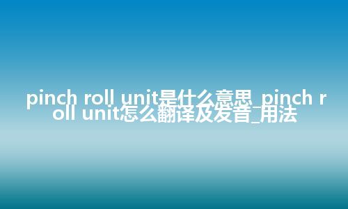 pinch roll unit是什么意思_pinch roll unit怎么翻译及发音_用法