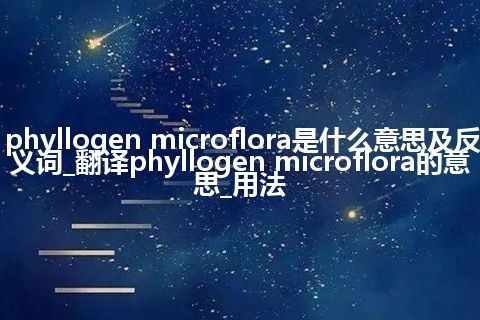 phyllogen microflora是什么意思及反义词_翻译phyllogen microflora的意思_用法