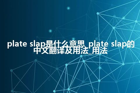 plate slap是什么意思_plate slap的中文翻译及用法_用法