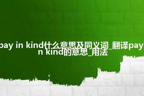 pay in kind什么意思及同义词_翻译pay in kind的意思_用法