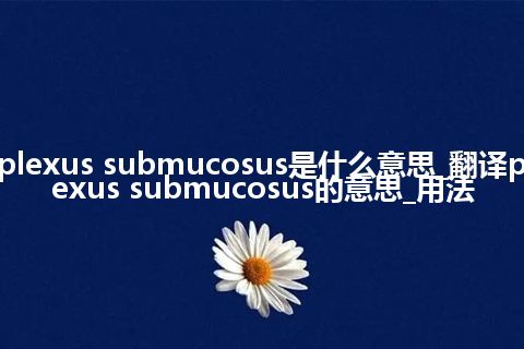 plexus submucosus是什么意思_翻译plexus submucosus的意思_用法