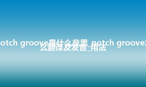 notch groove是什么意思_notch groove怎么翻译及发音_用法