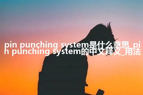 pin punching system是什么意思_pin punching system的中文释义_用法