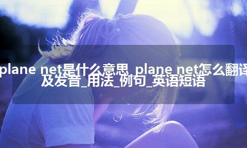 plane net是什么意思_plane net怎么翻译及发音_用法_例句_英语短语
