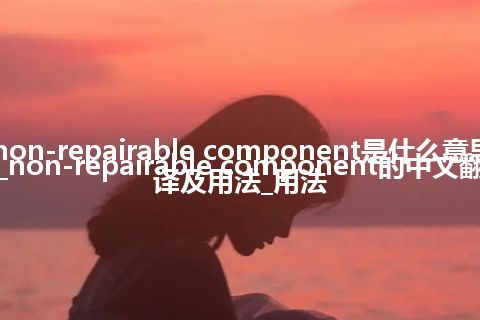 non-repairable component是什么意思_non-repairable component的中文翻译及用法_用法