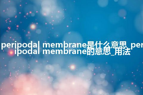 peripodal membrane是什么意思_peripodal membrane的意思_用法