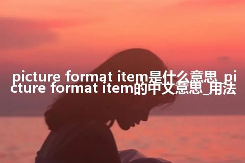picture format item是什么意思_picture format item的中文意思_用法