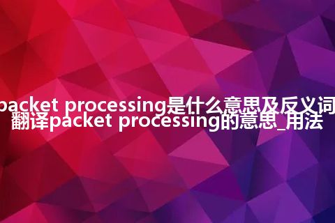 packet processing是什么意思及反义词_翻译packet processing的意思_用法