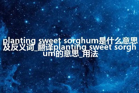 planting sweet sorghum是什么意思及反义词_翻译planting sweet sorghum的意思_用法