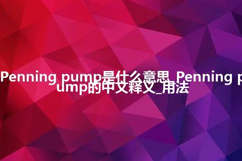 Penning pump是什么意思_Penning pump的中文释义_用法