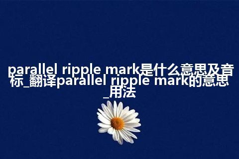 parallel ripple mark是什么意思及音标_翻译parallel ripple mark的意思_用法