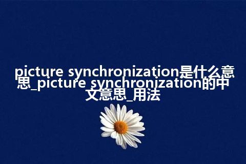 picture synchronization是什么意思_picture synchronization的中文意思_用法