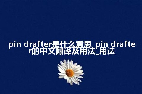 pin drafter是什么意思_pin drafter的中文翻译及用法_用法