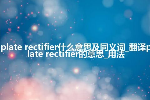 plate rectifier什么意思及同义词_翻译plate rectifier的意思_用法