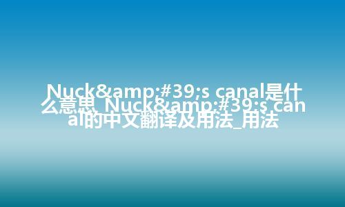 Nuck&#39;s canal是什么意思_Nuck&#39;s canal的中文翻译及用法_用法