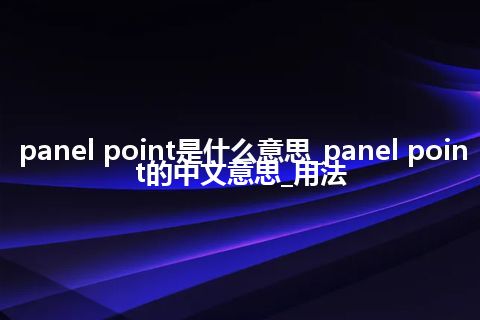 panel point是什么意思_panel point的中文意思_用法