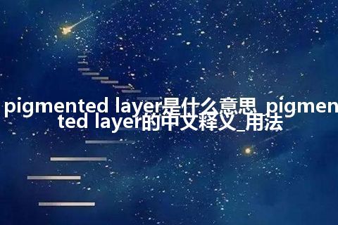 pigmented layer是什么意思_pigmented layer的中文释义_用法