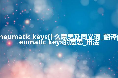 pneumatic keys什么意思及同义词_翻译pneumatic keys的意思_用法