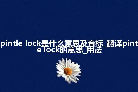 pintle lock是什么意思及音标_翻译pintle lock的意思_用法