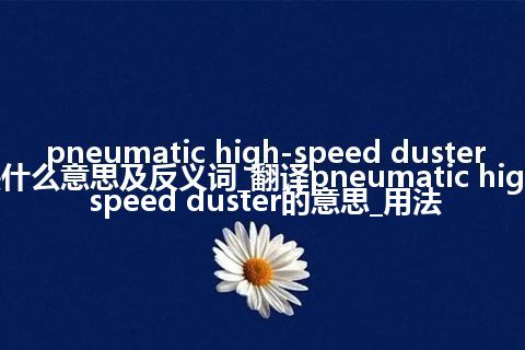 pneumatic high-speed duster是什么意思及反义词_翻译pneumatic high-speed duster的意思_用法