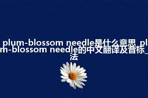 plum-blossom needle是什么意思_plum-blossom needle的中文翻译及音标_用法