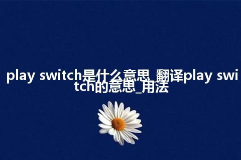 play switch是什么意思_翻译play switch的意思_用法