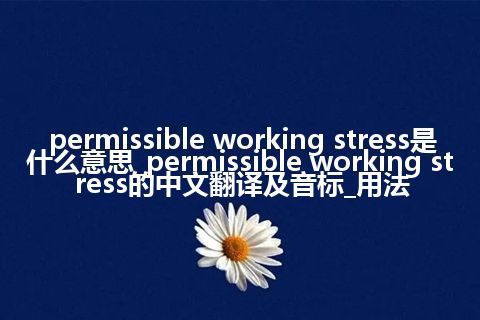 permissible working stress是什么意思_permissible working stress的中文翻译及音标_用法