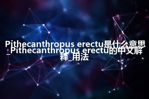 Pithecanthropus erectu是什么意思_Pithecanthropus erectu的中文解释_用法
