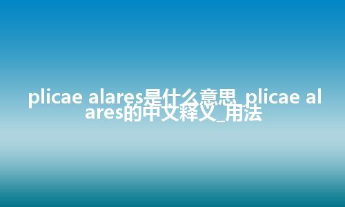 plicae alares是什么意思_plicae alares的中文释义_用法
