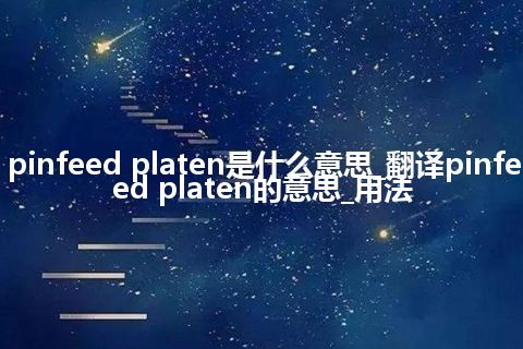 pinfeed platen是什么意思_翻译pinfeed platen的意思_用法