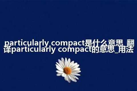 particularly compact是什么意思_翻译particularly compact的意思_用法