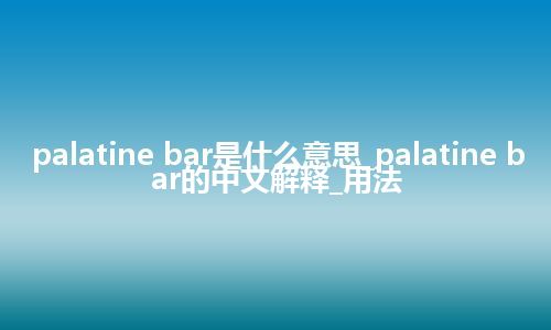 palatine bar是什么意思_palatine bar的中文解释_用法