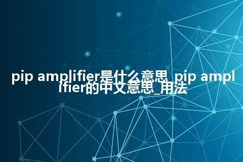 pip amplifier是什么意思_pip amplifier的中文意思_用法