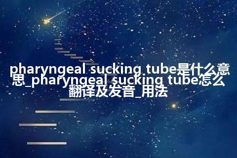 pharyngeal sucking tube是什么意思_pharyngeal sucking tube怎么翻译及发音_用法