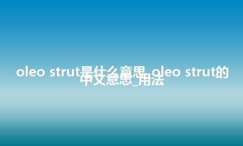 oleo strut是什么意思_oleo strut的中文意思_用法