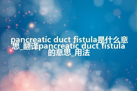 pancreatic duct fistula是什么意思_翻译pancreatic duct fistula的意思_用法