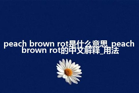 peach brown rot是什么意思_peach brown rot的中文解释_用法