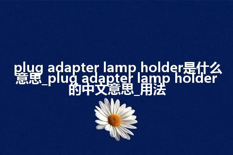 plug adapter lamp holder是什么意思_plug adapter lamp holder的中文意思_用法