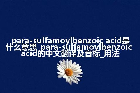 para-sulfamoylbenzoic acid是什么意思_para-sulfamoylbenzoic acid的中文翻译及音标_用法