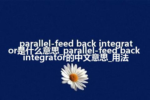 parallel-feed back integrator是什么意思_parallel-feed back integrator的中文意思_用法