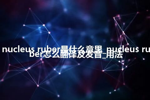 nucleus ruber是什么意思_nucleus ruber怎么翻译及发音_用法