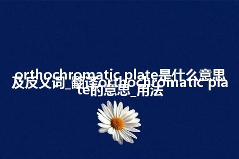 orthochromatic plate是什么意思及反义词_翻译orthochromatic plate的意思_用法