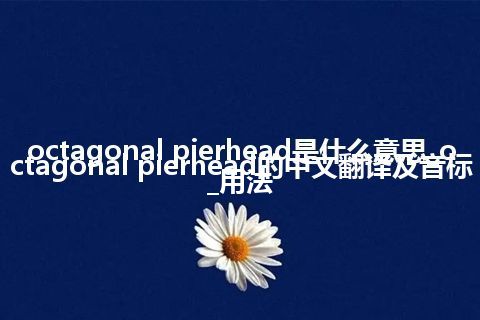 octagonal pierhead是什么意思_octagonal pierhead的中文翻译及音标_用法