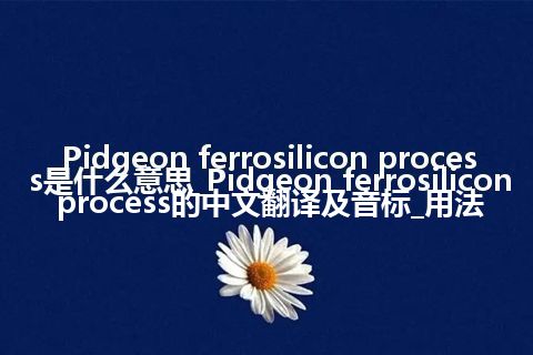 Pidgeon ferrosilicon process是什么意思_Pidgeon ferrosilicon process的中文翻译及音标_用法
