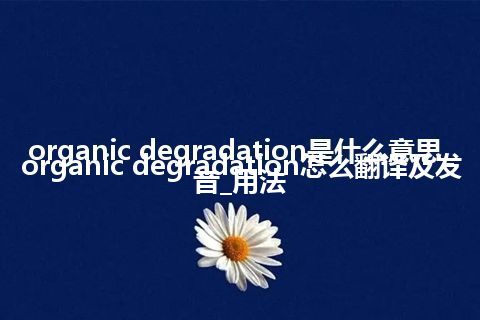 organic degradation是什么意思_organic degradation怎么翻译及发音_用法