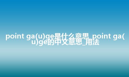 point ga(u)ge是什么意思_point ga(u)ge的中文意思_用法