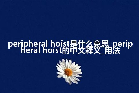 peripheral hoist是什么意思_peripheral hoist的中文释义_用法