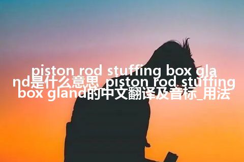 piston rod stuffing box gland是什么意思_piston rod stuffing box gland的中文翻译及音标_用法